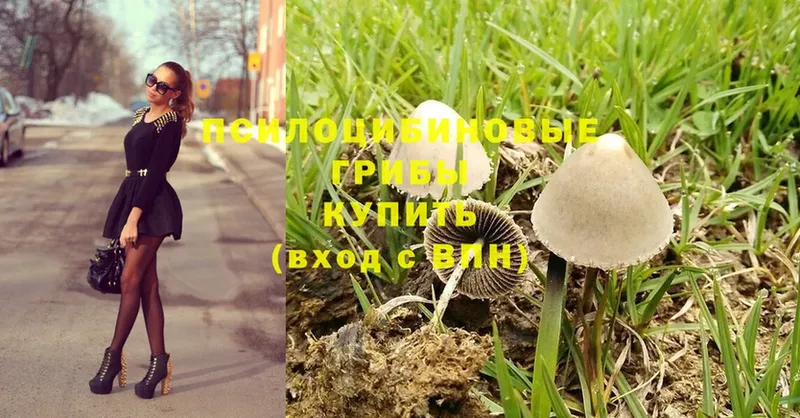 Галлюциногенные грибы Psilocybine cubensis  сайты даркнета как зайти  Фурманов 